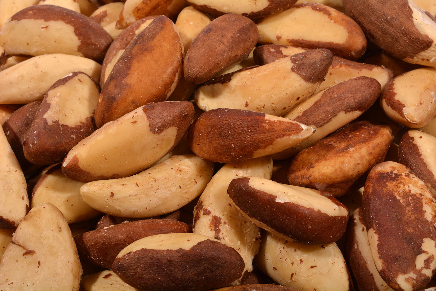 Brazils, Whole-1 lb.