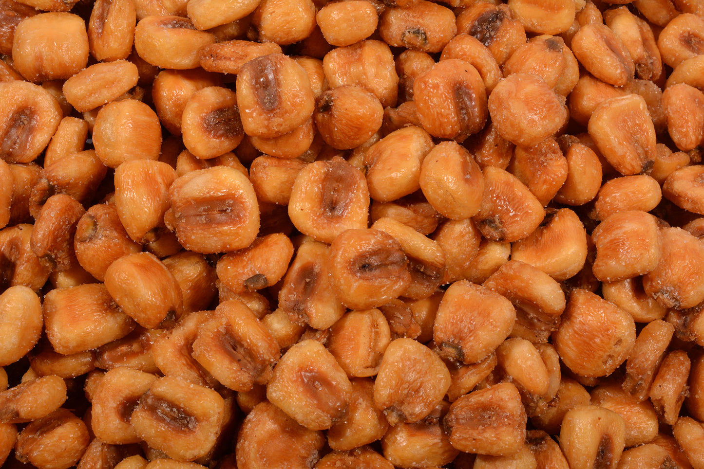 Toasted Corn Kernels, Large (Roasted/Salted)-1 lb.