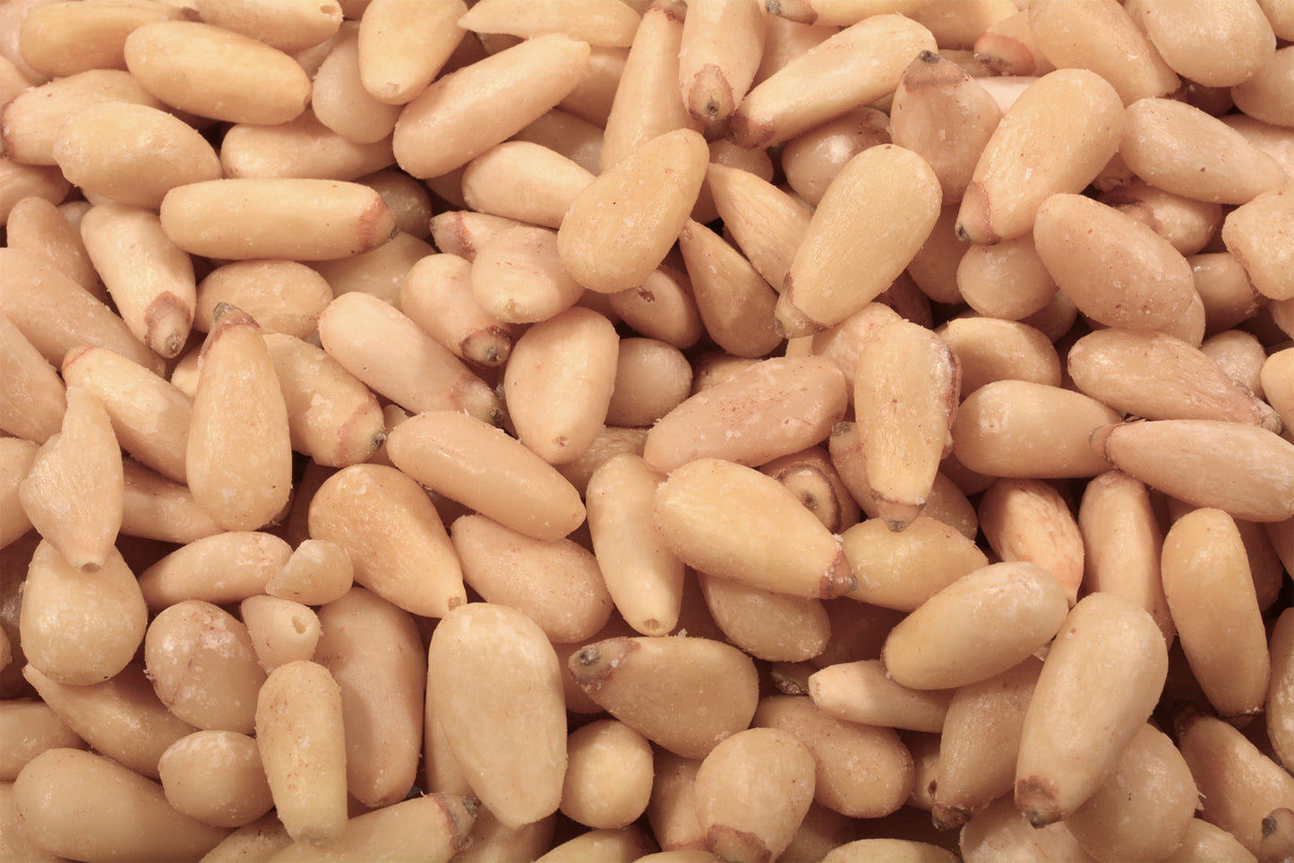 Pine Nuts, Whole-Half Pound