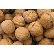 WALNUTS IN THE SHELL
