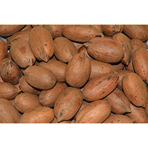 Pecans in the Shell – Texas Pecan Company